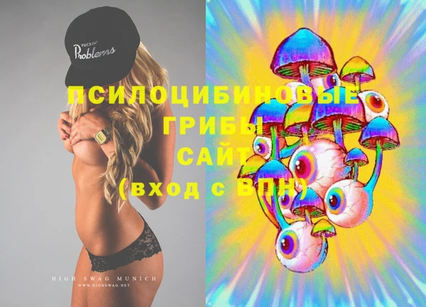 ECSTASY Белокуриха