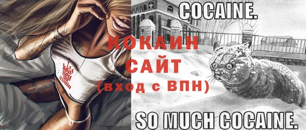 ECSTASY Белокуриха