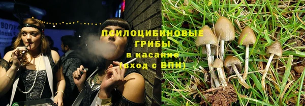 эйфоретик Беломорск