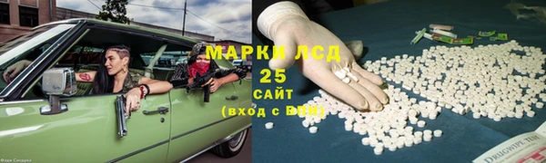 ECSTASY Белокуриха