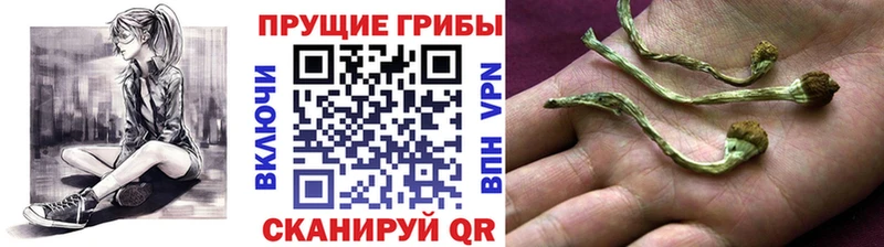 Галлюциногенные грибы ЛСД Острогожск